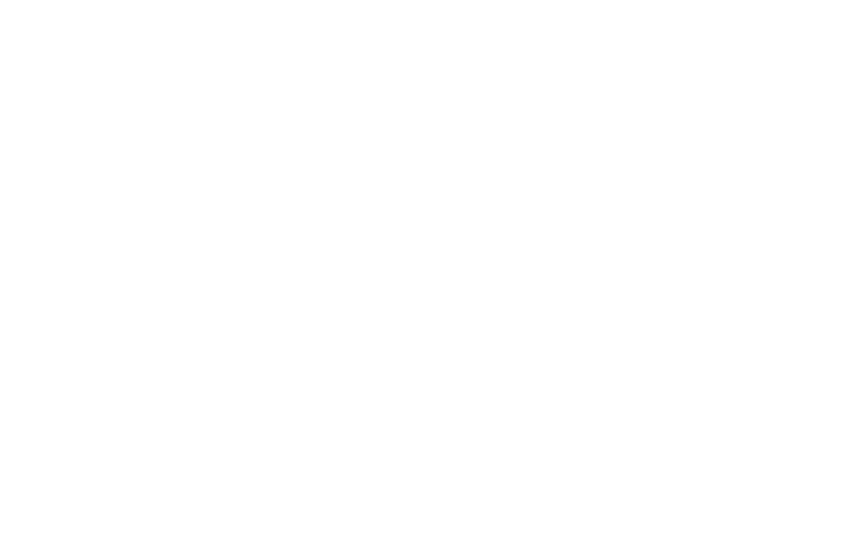 1Pizza